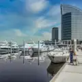Tax Policy Developments in the Yachting Sector | Featured in 7Deniz Magazine